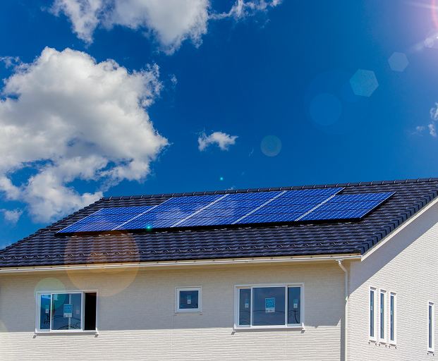 画像：サンプル