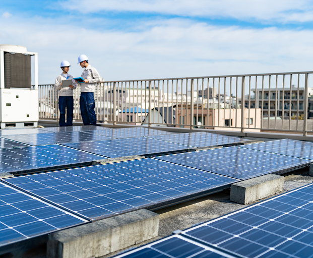 画像：サンプル